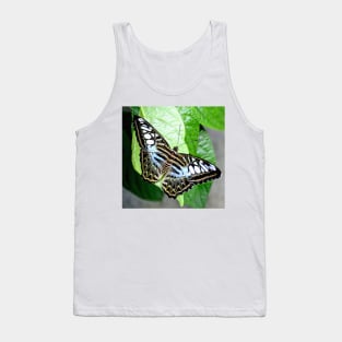 Blue Tiger Butterfly Tank Top